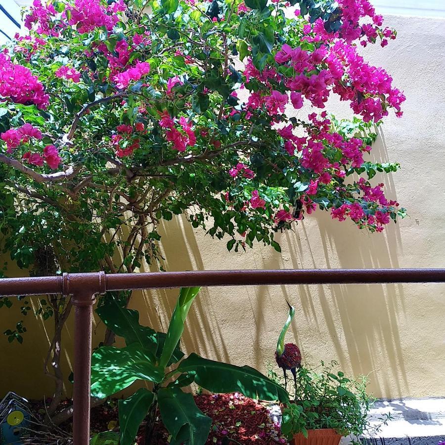 Cozy Nest Apartment Guayama Exterior photo
