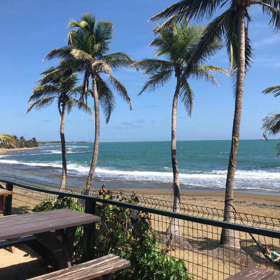 Cozy Nest Apartment Guayama Exterior photo